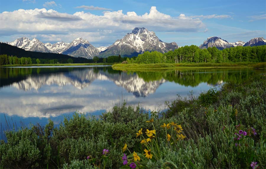 jackson hole